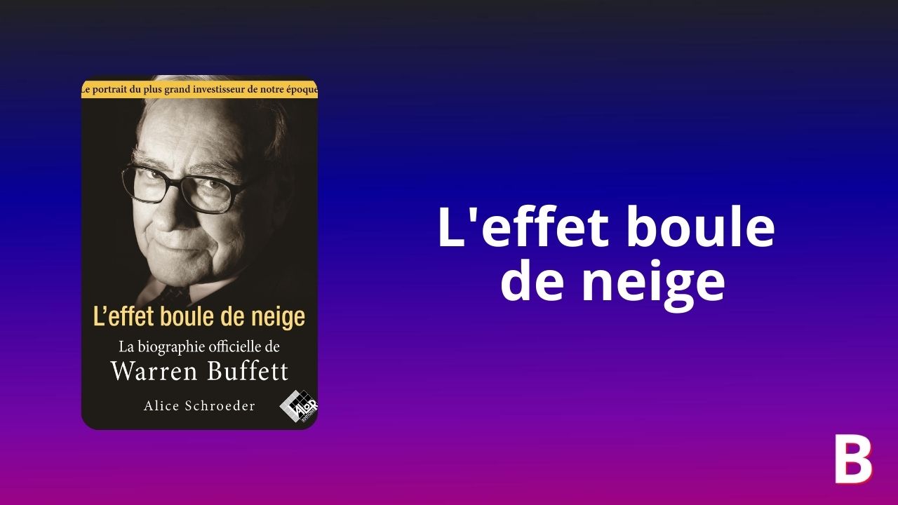 L'EFFET BOULE DE NEIGE - La biographie officielle de Warren BUFFETT 
