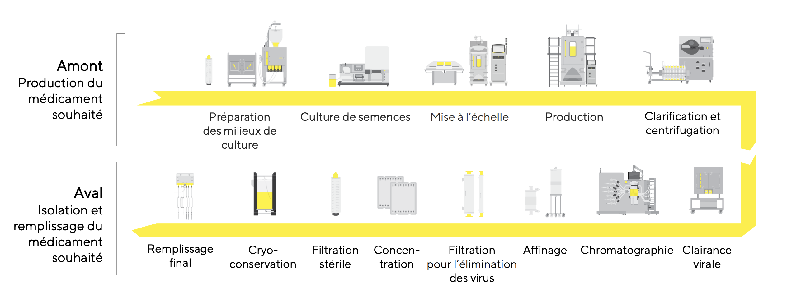 Sartorius Stedim Biotech production