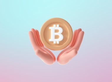 Qui détient le plus de Bitcoin