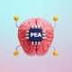 Actions intelligence artificielle PEA