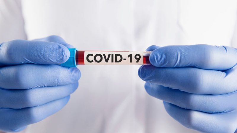 covid-19-theorie-complotiste-etait-vraie-depuis-debut