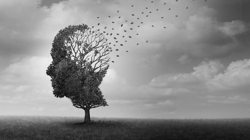 Alzheimer origine unique