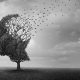 Alzheimer origine unique