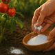 bicarbonate de soude utilisations jardin