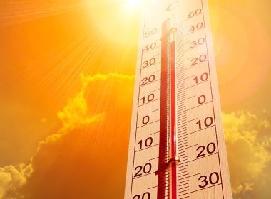 Femme paysagiste canicule égalité tenue chantier