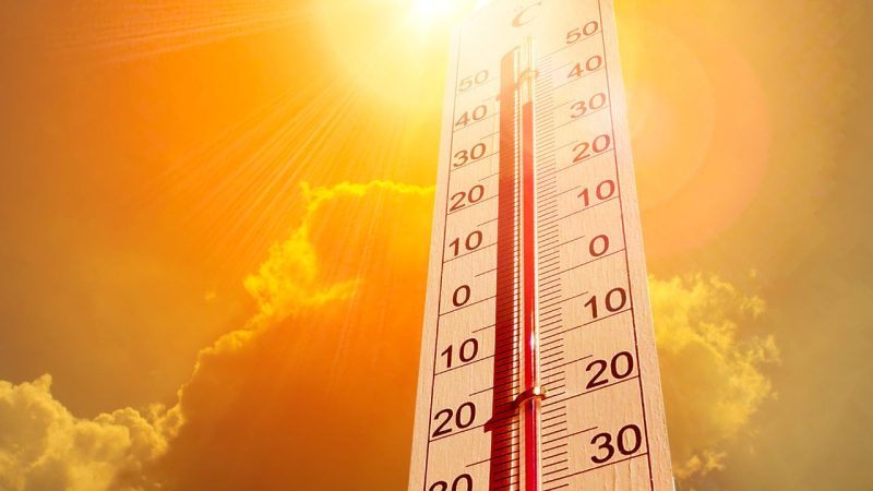 Femme paysagiste canicule égalité tenue chantier