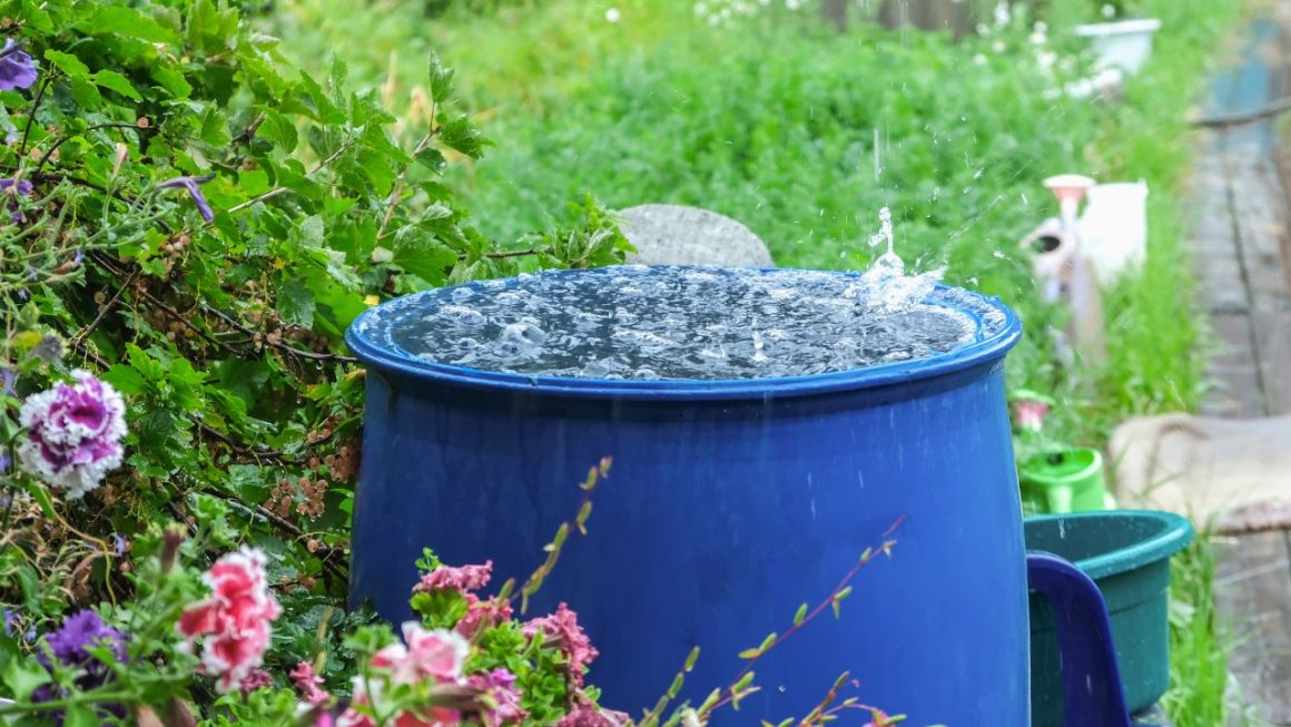 Utilisation eau de pluie France