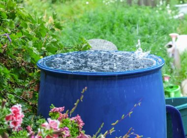 Utilisation eau de pluie France