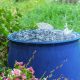 Utilisation eau de pluie France