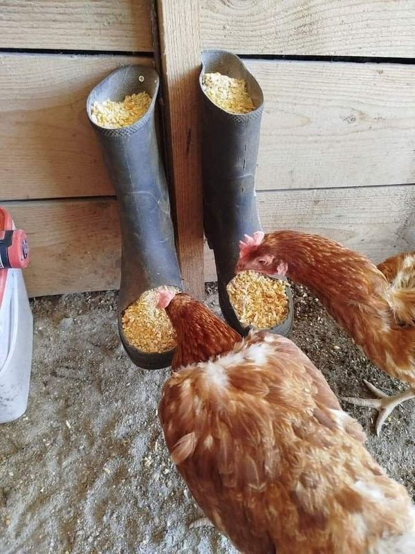 bottes