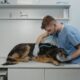 Chien aliments courants frigo dangereux