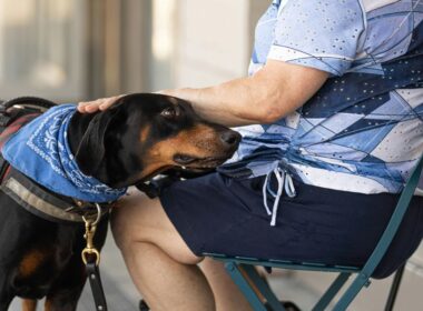 Chien qui renifle l'entrejambe