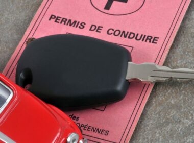 Permis papier rose remplacement