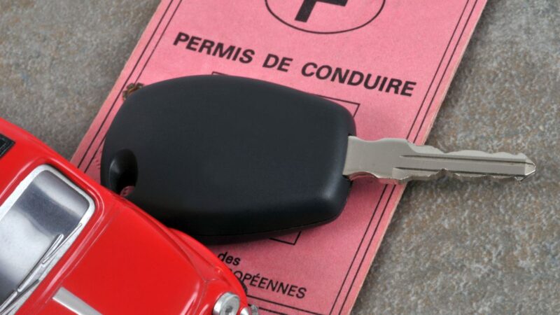 Permis papier rose remplacement