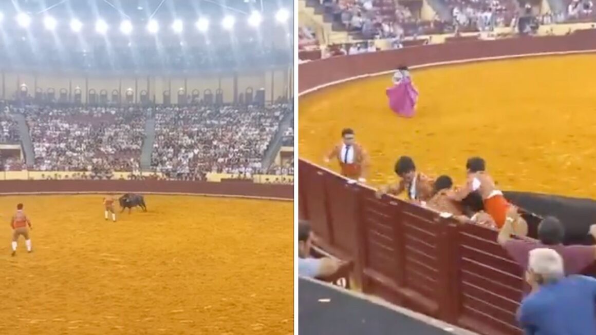 Jeune torero meurt empalé par un taureau
