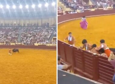 Jeune torero meurt empalé par un taureau