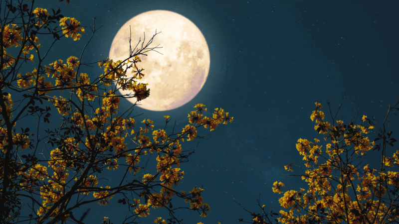 Pleine lune 17 septembre