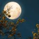 Pleine lune 17 septembre