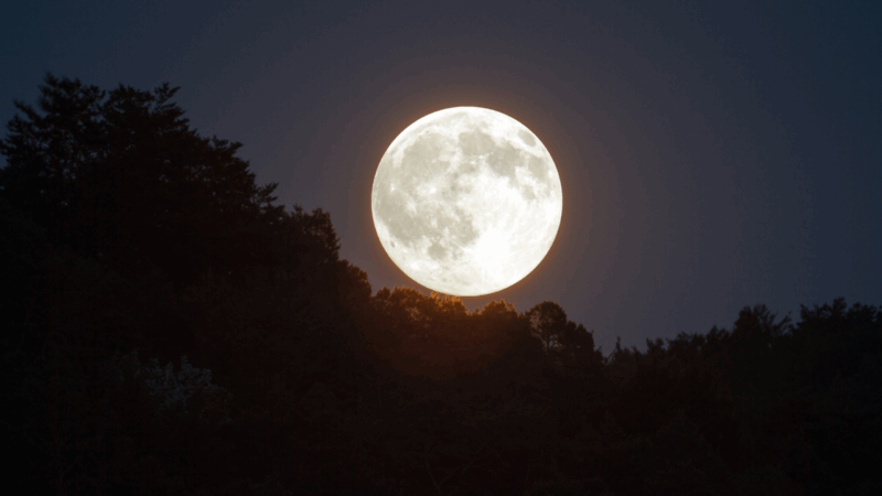 Super Lune des Moissons