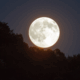 Super Lune des Moissons
