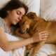 Dormir avec animal caractéristiques psychologues