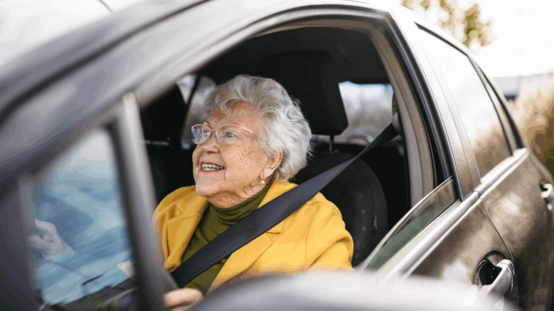 Permis de conduire réforme parlement européen scandalise seniors