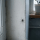 Araignées maison hiver ce que ça révèle