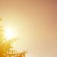canicule-aout-2026-previsions